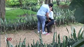 Voyeurisme En Parc Public Avec Un Couple