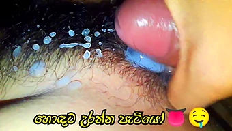 Sinhala Porn Star'S Hairy Pussy Gets Rough Treatment