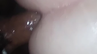 Doggy Style Anal Sex With A Seduced Pig