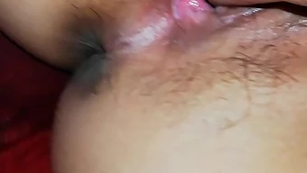 Sıkı Bir Vajina Içeren Taze Yapılmış Amatör Porno