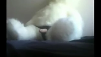 Homemade Video Of Girl Pleasuring A Teddy Bear